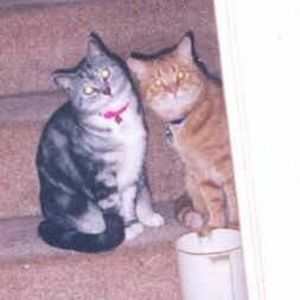 Meet your Posher, Sally